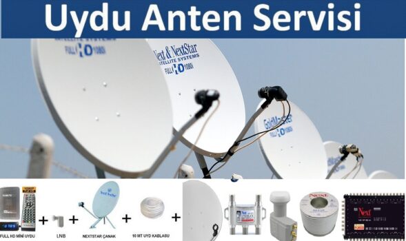 Çınar Antenci